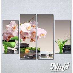 Slike na platnu Roze orhideja Nina304_4