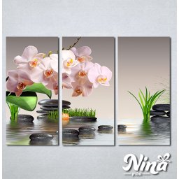 Slike na platnu Roze orhideja Nina304_3