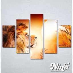 Slike na platnu Lav kralj životinja Nina308_5