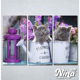 Slike na platnu Sive mačke Nina311_3