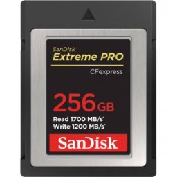 Extreme PRO CFexpress Type B 256GB 1700MB/s (SDCFE-256G)