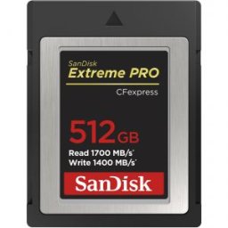 Extreme PRO CFexpress Type B 512GB 1700MB/s (SDCFE-512G)