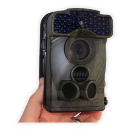 LTL ACORN - 5310A