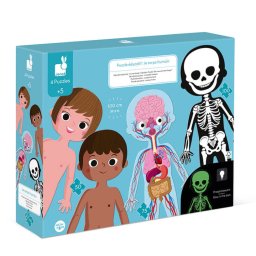 Kartonske edukativne puzzle - Ljudsko telo