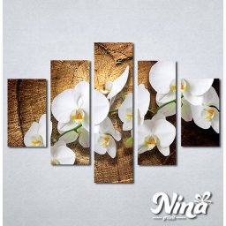 Slike na platnu Bele orhideje Nina323_5