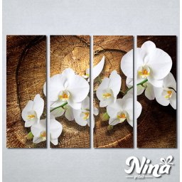 Slike na platnu Bele orhideje Nina323_4