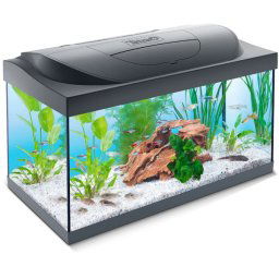 Tetra: LED Akvarijum Starter Line, 54 l