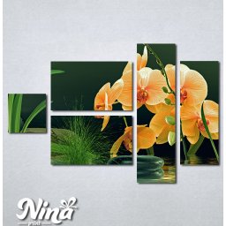 Slike na platnu Narandzasta orhideja Nina357_5