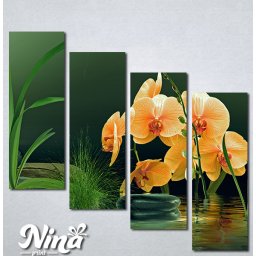Slike na platnu Narandzasta orhideja Nina357_4