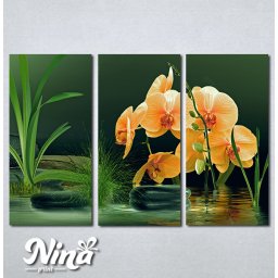 Slike na platnu Narandzasta orhideja Nina357_3