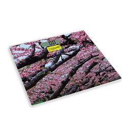 Maestro telesna vaga (MR1823)