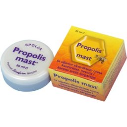 SINEFARM PROPOLIS MAST