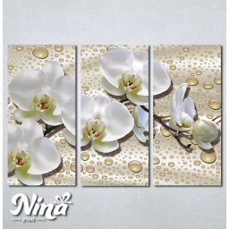 Slike na platnu Cvet orhideje Nina386_3