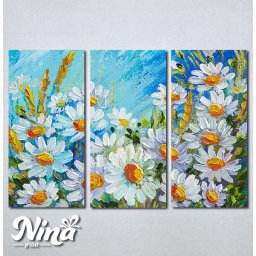 Slike na platnu Cvet kamilice Nina398_3
