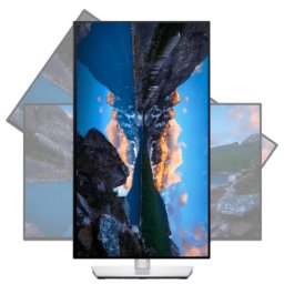 DELL Monitor 24 UltraSharp IPS U2422H