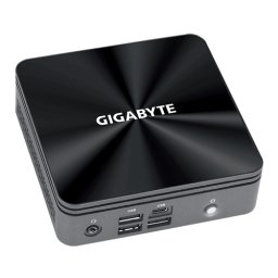 GIGABYTE BRIX GB-BRI3-10110