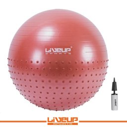 LiveUp Lopta za pilates i masažu + ručna pumpa - LS3569