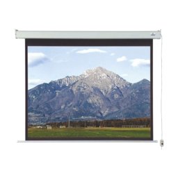 VEGA Platno EL S 300 - BIM00042 Električno Zidno 297 x 297 cm 1:1