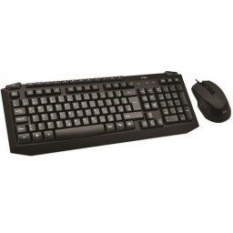 MS MASTER C300