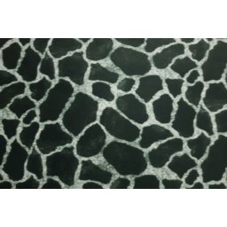 Mebl štof Safari Giraffe col.21/2