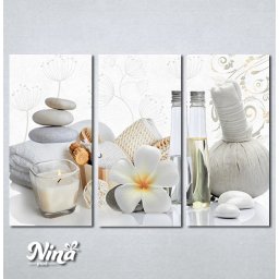 Slike na platnu Wellness spa Nina423_3