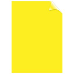 Korice za spiralno koričenje 200my pvc A4 pk100 Fellowes providno žute