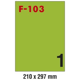 Etikete ILK 210x297mm pk100L Fornax F-100 zelene