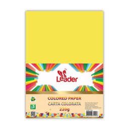 Hamer 220g A4 Leader 100l žuti