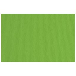 Papir u boji B1 220g Elle Erre Fabriano 46470111 tamno zeleni (verde) pk10
