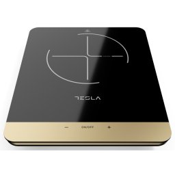 Tesla IC401B