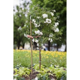 Windhager šipka 150cm plastična ( WH 05746 )