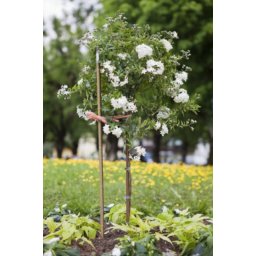 Windhager šipka 120cm plastična ( WH 05745 )