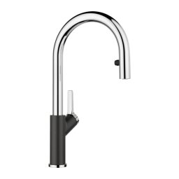 Blanco slavina Carena-S Vario 521358