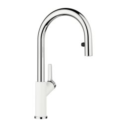 Blanco slavina Carena-S Vario 521368