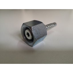 PP NP6