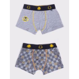 Yoclub Kids's 2Pack Boy's Boxer Briefs BMB-0017C-AA30