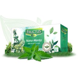 Fructus čaj nana 20g