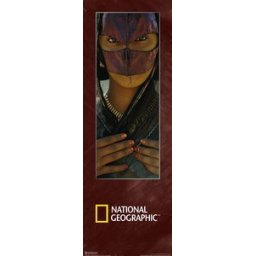 Masked Beduin girl uramljena slika 35x100cm