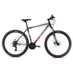 Oxygen 29" 2020