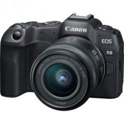 EOS R8 + RF 24-50mm F4.5-6.3 IS STM