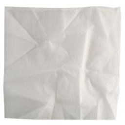 Einhell tekstilni filter, za duo, inox serije ( 2351140 )