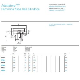 TFFG04-T RAČVA G1/4
