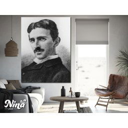 Slika na platnu Nikola Tesla 7 PL08