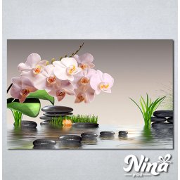 Slike na platnu Roze orhideja Nina304_P
