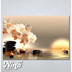Slike na platnu Bela orhideja Nina225_P