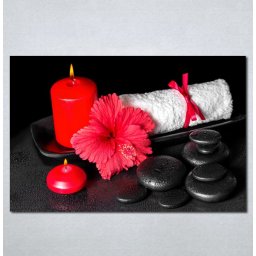Slike na platnu Wellness spa crveni cvet Nina 182_P