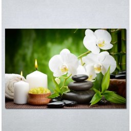 Slike na platnu Wellness spa bela orhideja Nina 181_P