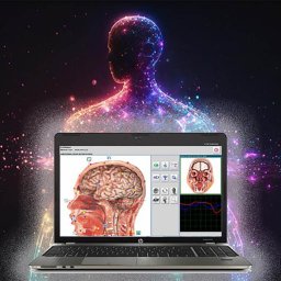 Daljinsko detaljno skeniranje i tretman Metatron Hospital Remote aparatom