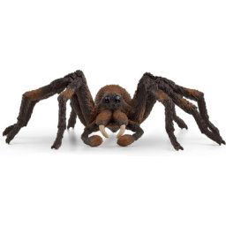 Aragog 13987
