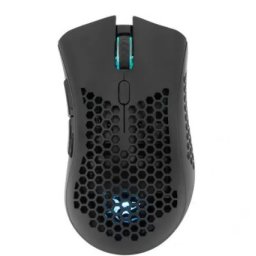 White Shark LIONEL Black